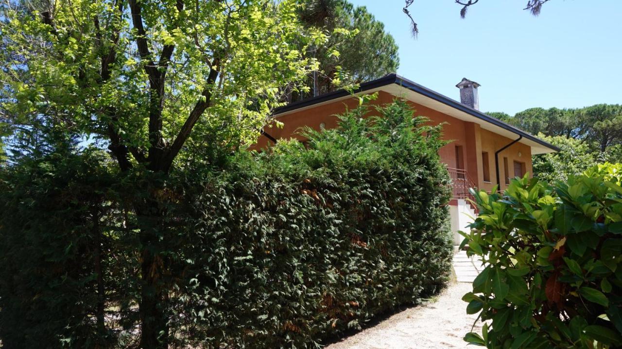 Villa Luisa 利尼亚诺萨比亚多罗 外观 照片